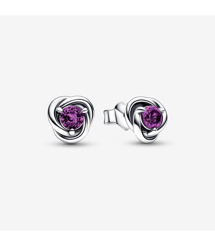 Orecchini Cerchi Eterni Viola - Pandora