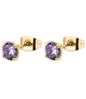 Orecchini Donna Desideri in acciaio Pvd oro con Swarovsky Amethyst BEIE009 - Brosway