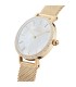 Orologio Petite Lumine Bezel Evergold Madreperla DW010100662 - Daniel Wellington