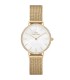 Orologio Petite Lumine Bezel Evergold Madreperla DW010100662 - Daniel Wellington