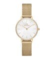 Orologio Petite Lumine Bezel Evergold Madreperla DW010100662 - Daniel Wellington