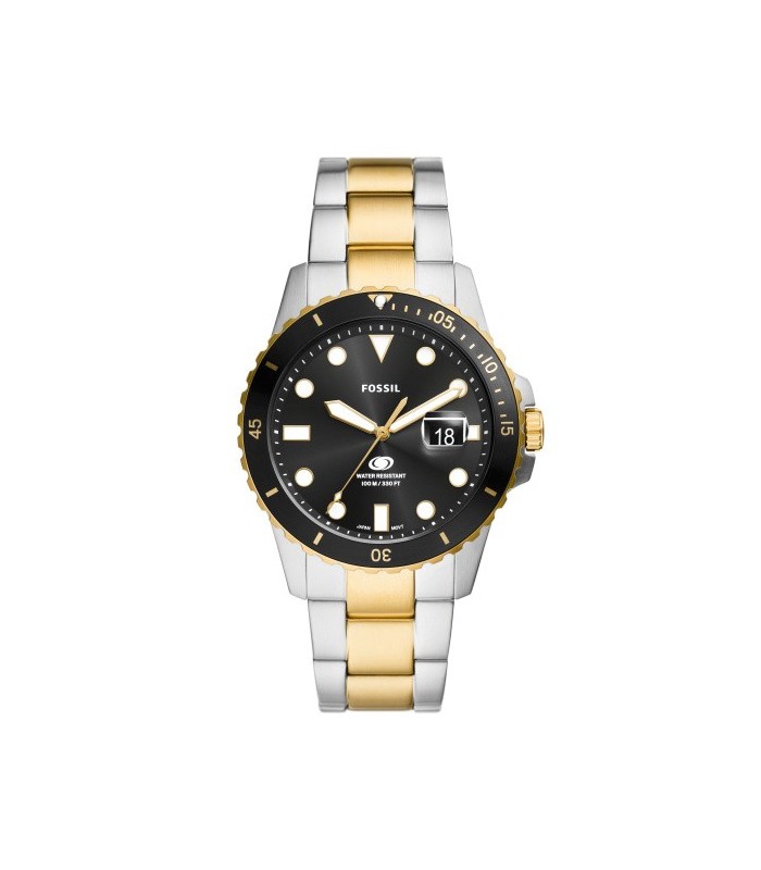 Orologio Uomo Fossil Blue Solo Tempo Acciaio Bicolore FS6031 - Fossil